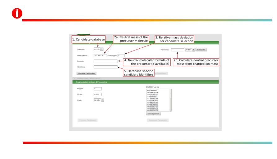 Database Structure