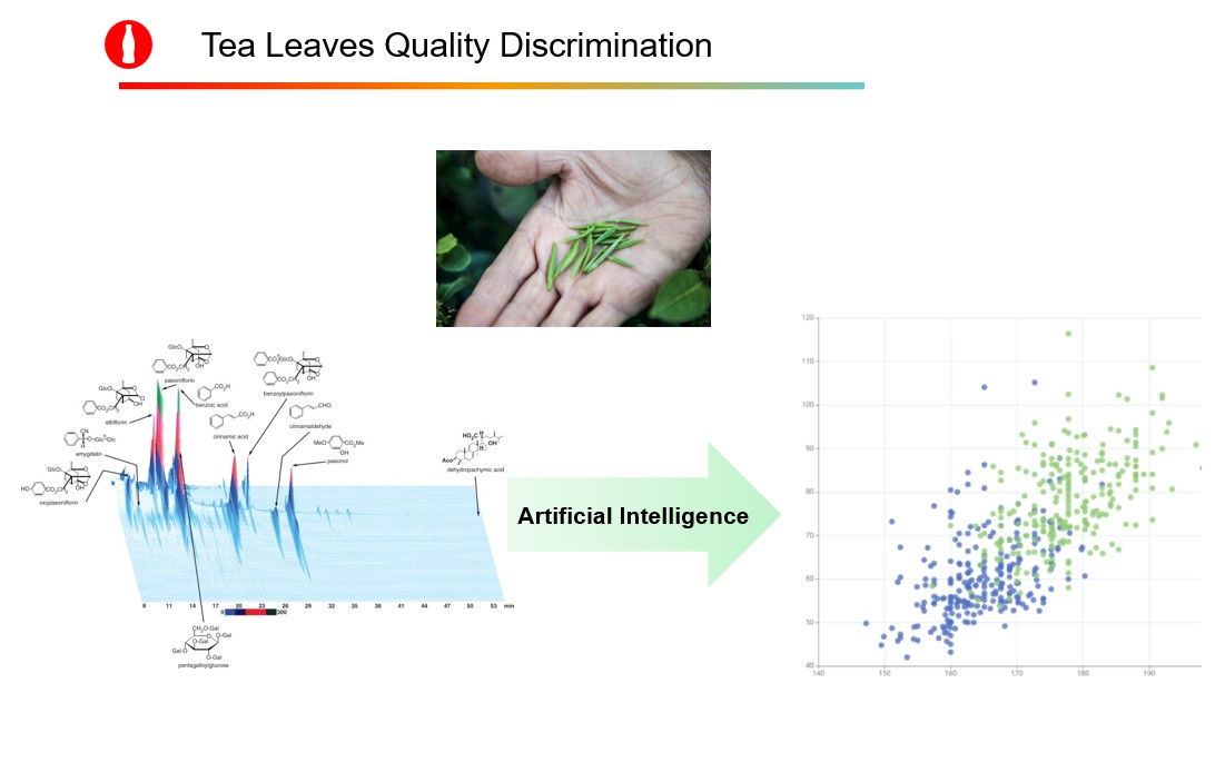 Machine Learning Model