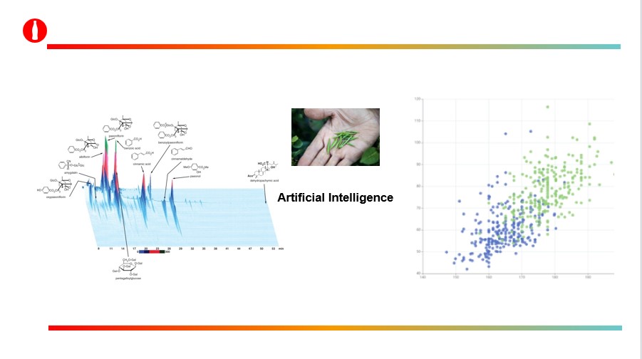 Tea Leaves Analysis Chart